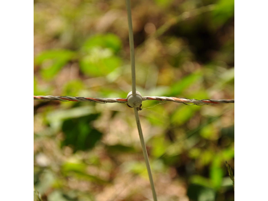 EuroNetz Wild boar netting