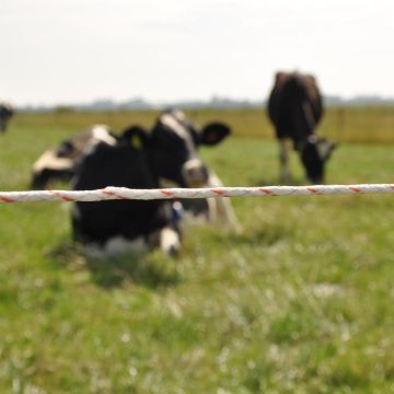 Vidoflex 9 TurboLine Plus GAL-011254