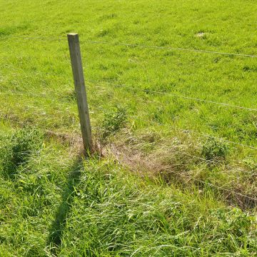 Zinc-alu-mag wire GAL-060412