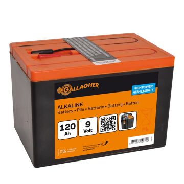 Powerpack Alkaline Batterie 9 Volt GAL-008704