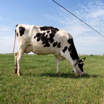 Zinc-alu-mag wire GAL-039999