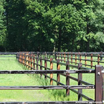 XDI offset screw-in insulator wood 18cm GAL-042647