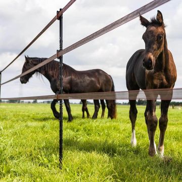 Gallagher Insulated Line Post GAL-742335