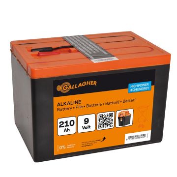 Powerpack Alkaline Batterie 9 Volt GAL-063451