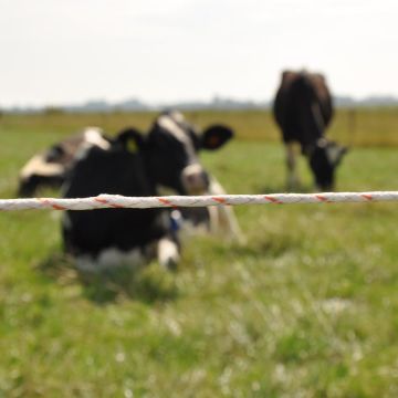 Vidoflex 9 TurboLine Plus GAL-049028